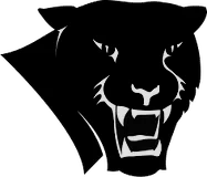 Panthers logo